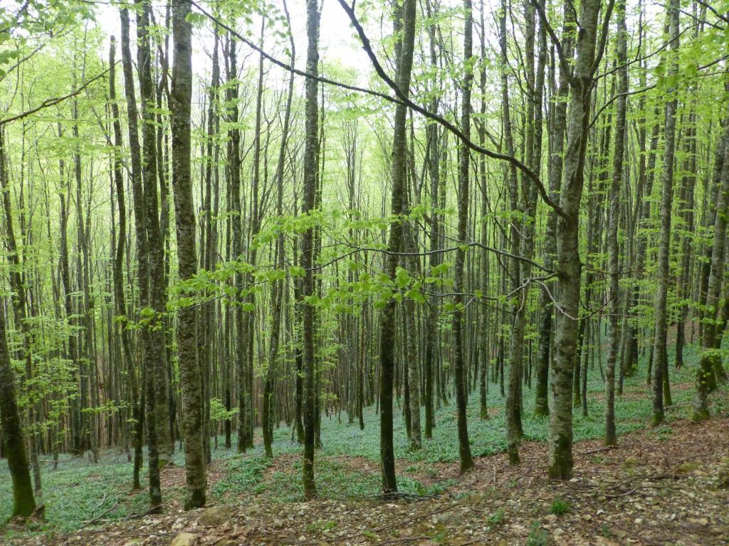 Hostal Rural Arrobi Borda Eugi Kültér fotó