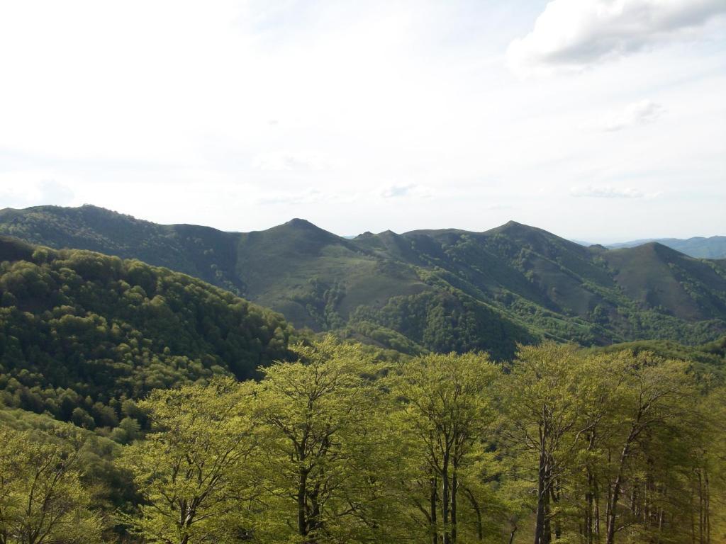 Hostal Rural Arrobi Borda Eugi Kültér fotó